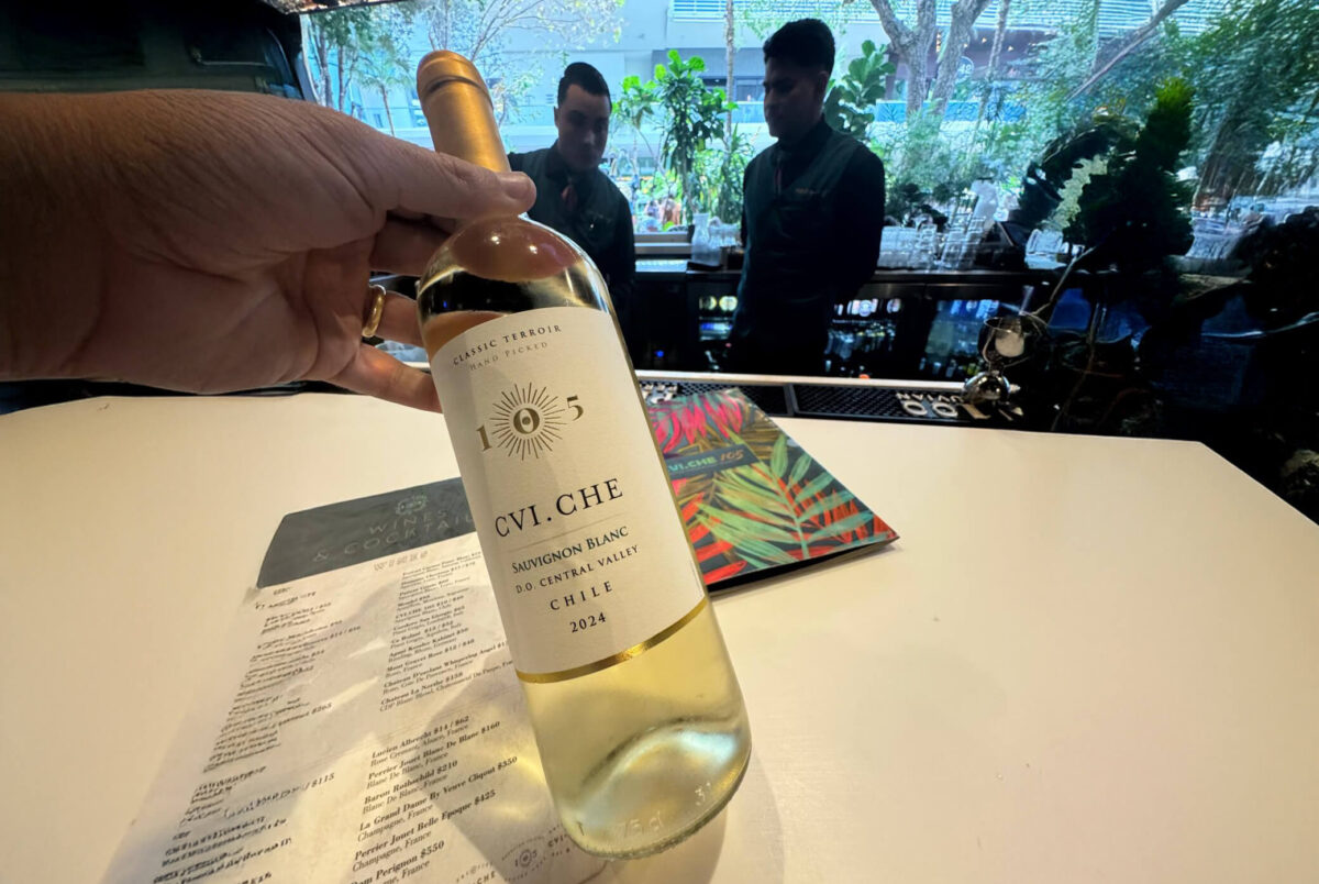 vino wine